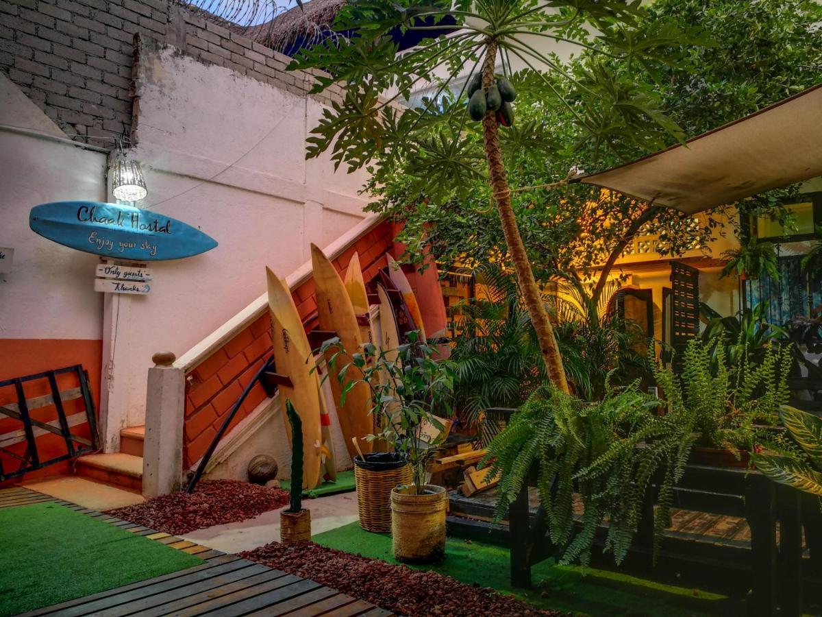 Chaak Hostel Пуерто Ескондидо Екстериор снимка