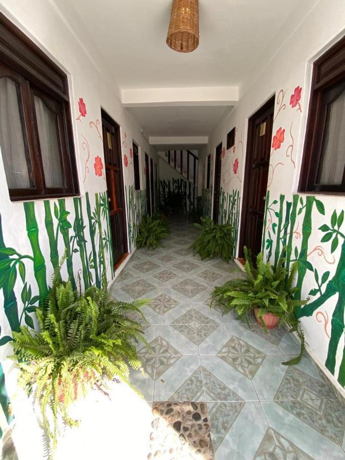 Chaak Hostel Пуерто Ескондидо Екстериор снимка